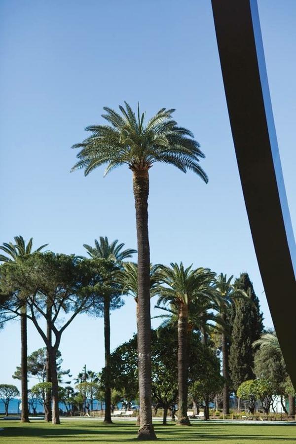 Le Prefecture - Luxueux F3 En Duplex, Ascenseur, Coeur Vieux-Nice Apartment Exterior foto